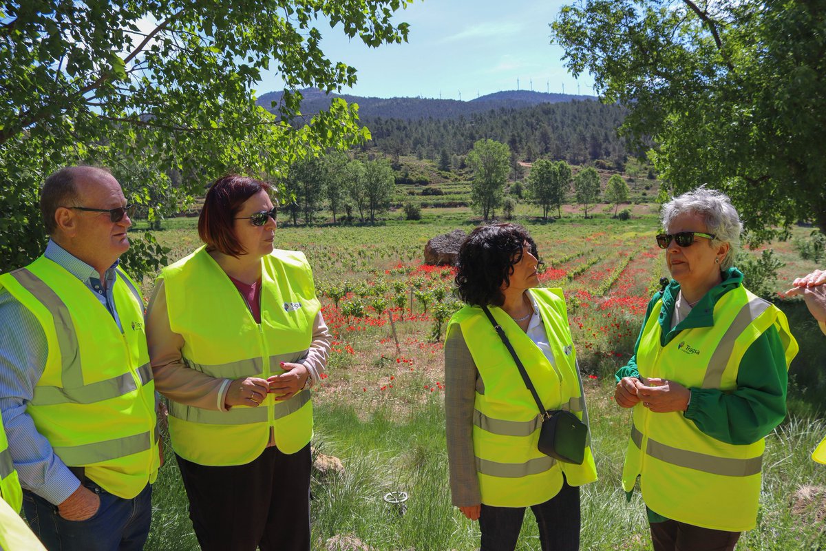 BegoaBernal's tweet photo. Me voy satisfecha de Mira, donde @gobmapa está invirtiendo más de 3,4 millones de euros en trabajos de recuperación tras la #dana

Los 35 agricultores y ganaderos afectados han recibido ya más de 312.200 euros en ayudas directas

La reconstrucción avanza, pero no vamos a parar 💪🏻 https://t.co/fGIPTG7s3f