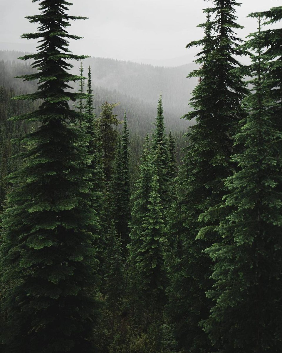 𝘢𝘦𝘴𝘵𝘩𝘦𝘵𝘪𝘤 𝘷𝘪𝘴𝘶𝘢𝘭𝘴 •°. *࿐ (@aestheticwabi) on Twitter photo 