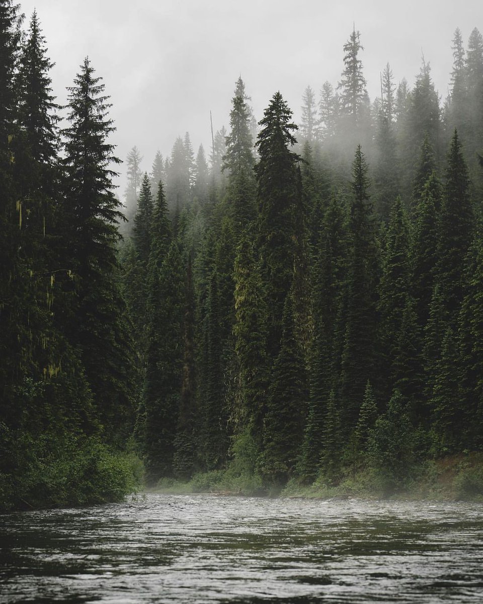 𝘢𝘦𝘴𝘵𝘩𝘦𝘵𝘪𝘤 𝘷𝘪𝘴𝘶𝘢𝘭𝘴 •°. *࿐ tweet media