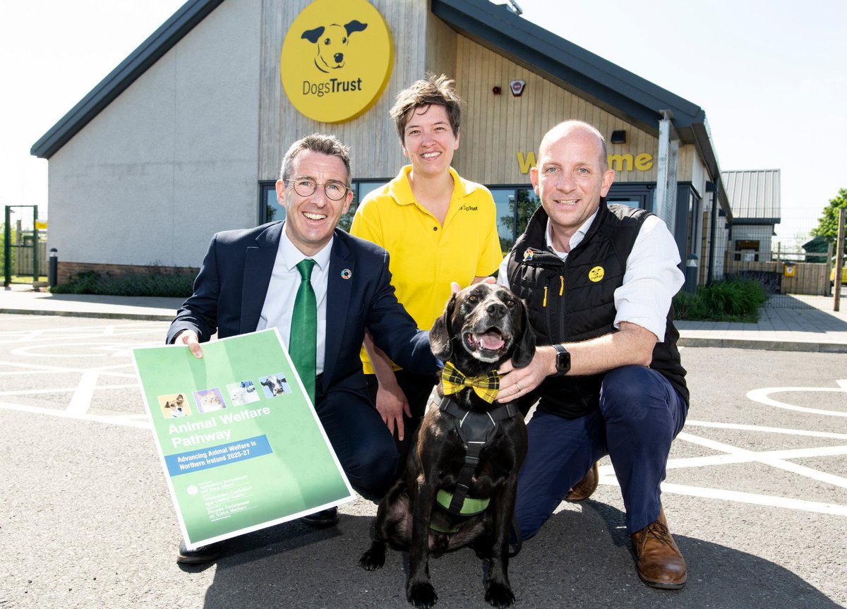 Andrew Muir MLA (@andrewmuirni) on Twitter photo Fantastic to launch my 10-point plan for improving animal welfare <a href="/DT_Ballymena/">Dogs Trust Ballymena</a>. Big fan of Buddy and his bowtie! 🐶
The pathway includes introducing a form of Lucy's Law to NI, a review of dog breeding laws, looking to ban shock collars and more to protect our animals. Fantastic to launch my 10-point plan for improving animal welfare <a href="/DT_Ballymena/">Dogs Trust Ballymena</a>. Big fan of Buddy and his bowtie! 🐶
The pathway includes introducing a form of Lucy's Law to NI, a review of dog breeding laws, looking to ban shock collars and more to protect our animals.