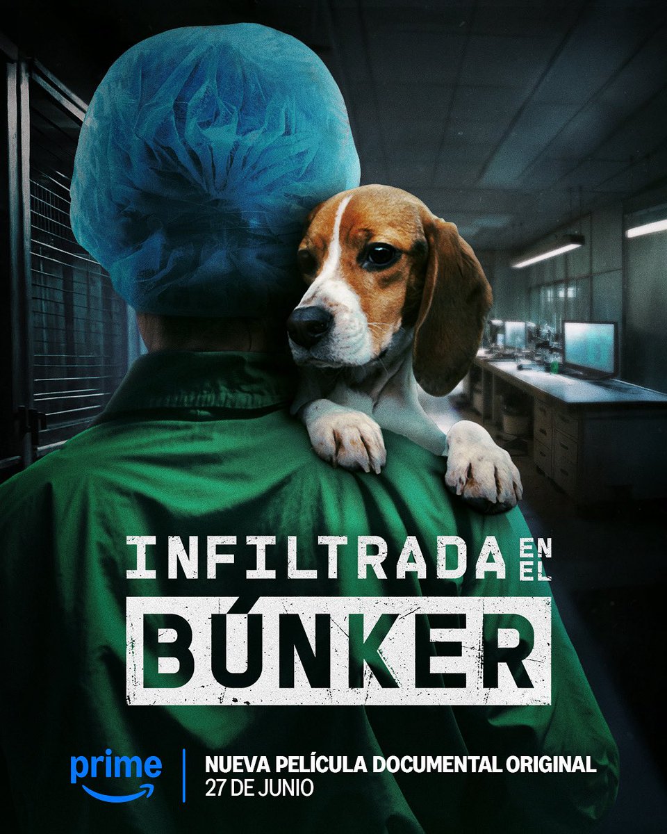 En Cero Coma (@encerocoma) on Twitter photo 🔍 Año y medio infiltrada. El mayor escándalo de sufrimiento animal en España.
🎬 #InfiltradaEnElBúnker, de Pablo de la Chica, estreno 27 de junio en exclusiva en <a href="/PrimeVideoES/">Prime Video España</a>.
Una producción de Amazon MGM Studios con Salon Indien Films y En Cero Coma, un sello de <a href="/FremantleESP/">Fremantle España</a> 🔍 Año y medio infiltrada. El mayor escándalo de sufrimiento animal en España.
🎬 #InfiltradaEnElBúnker, de Pablo de la Chica, estreno 27 de junio en exclusiva en <a href="/PrimeVideoES/">Prime Video España</a>.
Una producción de Amazon MGM Studios con Salon Indien Films y En Cero Coma, un sello de <a href="/FremantleESP/">Fremantle España</a>
