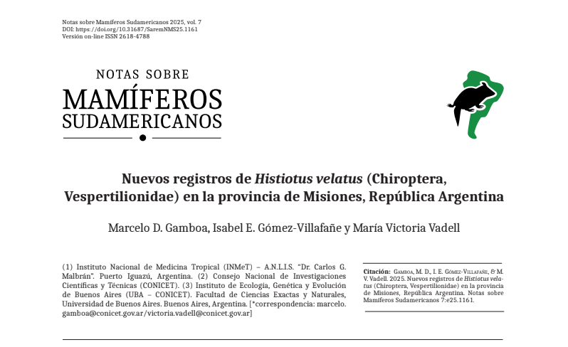 LaboEcoPob's tweet photo. 🦇Se hallaron dos ejemplares de Histiotus velatus en Misiones después de 31 años sin registros, reafirmando la presencia del quiróptero en la provincia. Para saber cómo, dónde y quiénes, leé la nota completa
https://t.co/zcaHWq25zx https://t.co/Oq4PWUBBw6