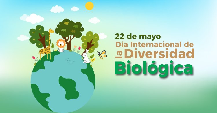 #Hoy se celebra el Día Internacional de la Diversidad Biológica.

De ella depende la riqueza y variedad de los seres vivos del planeta. 

#LasTunasPorLaSalud
#CubaPorLaVida
#PorLasTunasLaVictoria