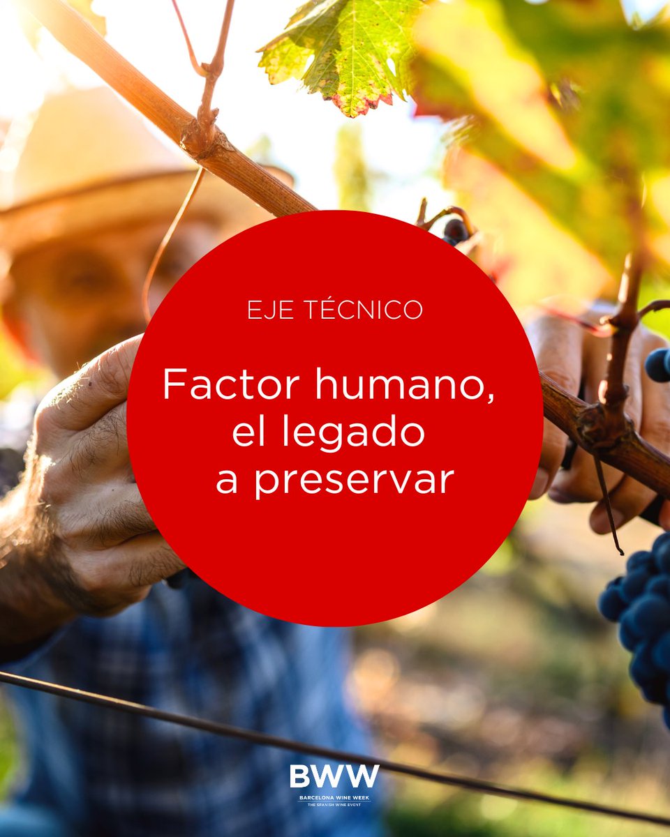 📢 En #BWW2026 celebramos el alma del vino: las personas.

El factor humano será el eje técnico de esta edición.

🔗Más info:  barcelonawineweek.com/bwwhub/

💭  Y tú, ¿qué papel crees que juegan las personas en la magia del vino?

📅 2–4 FEB 2026
#TheSpanishWineEvent #SaveTheDate
