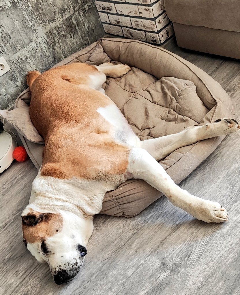 Четверг говорите..