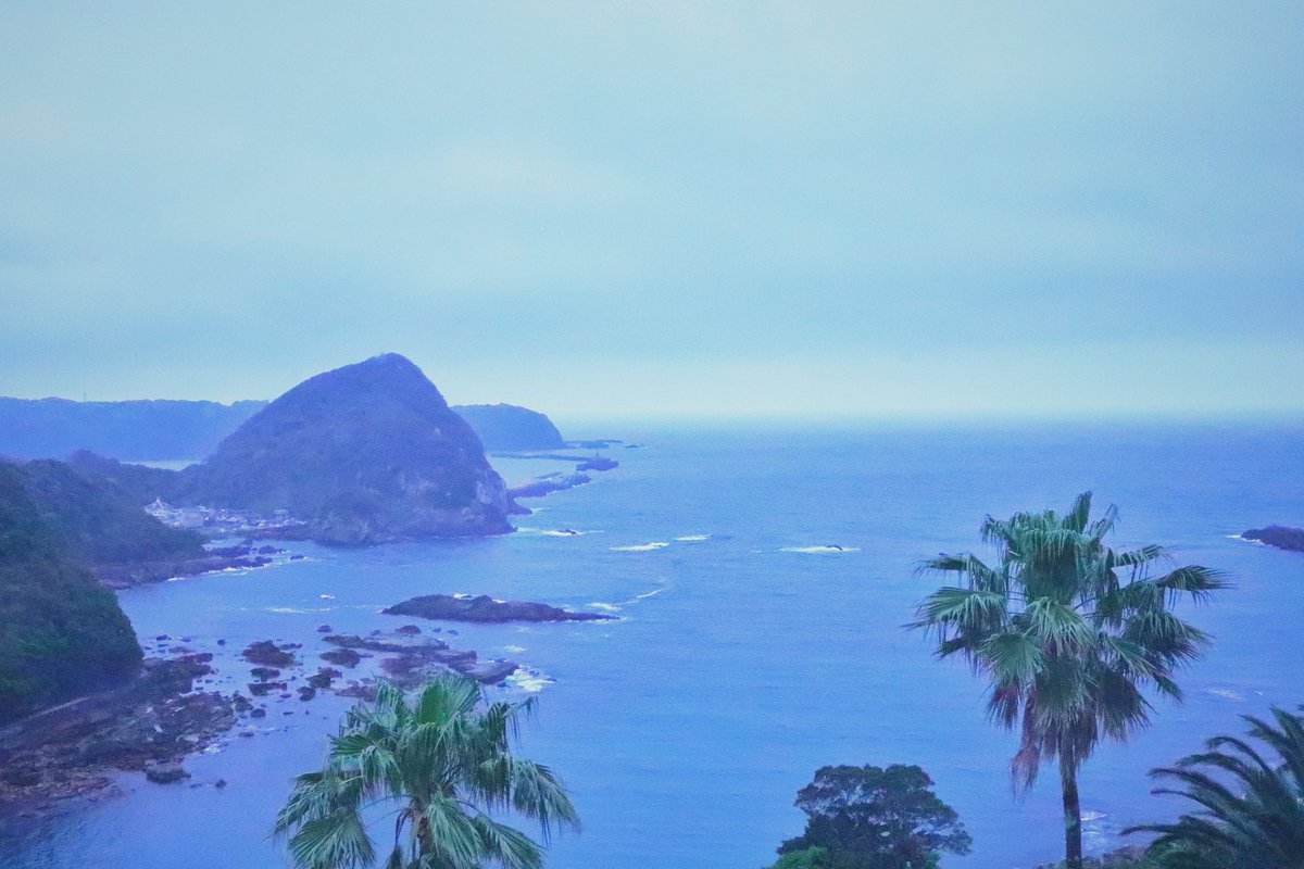 motherapplepie's tweet photo. IZU-SHIMODA  1552 https://t.co/nA9tT1sF7W