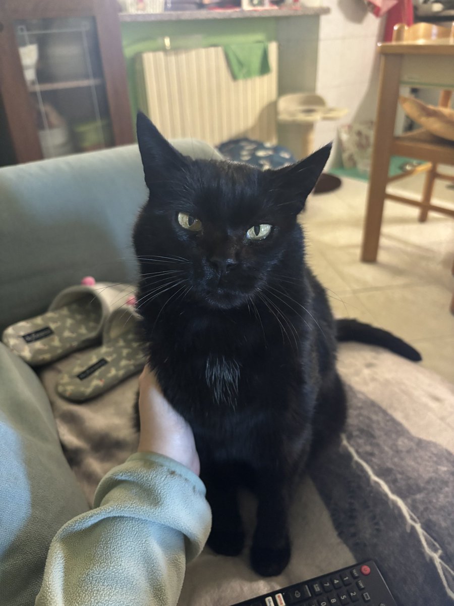 giulsupernova's tweet image. io 🤝🤝 sti post anti sfiga