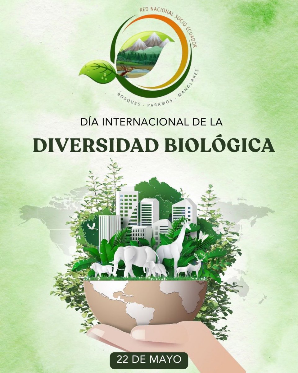Primero la naturaleza, protegemos los bosques, páramos y manglares, somos fundadores del PSB, cuidamos la vida; reconocemos el trabajo de ⁦⁦<a href="/Ambiente_Ec/">ambiente_ec</a>⁩ somos 175.000 socios Red Nacional Socio Bosque, Páramos y Manglares (RNSBPyM). Tenemos 4 MM de has. 1.6 con el PSB