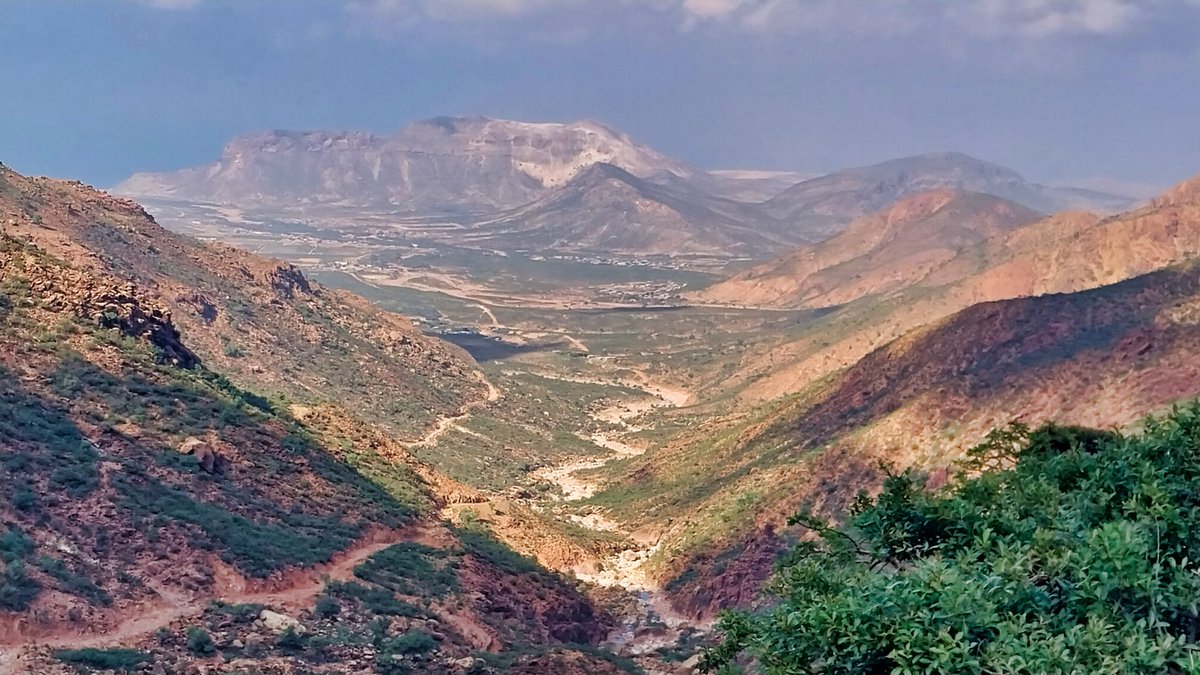 Untamed Borders (@untamedborders) on Twitter photo The Yemeni island of Socotra has one of the most unique eco-systems on the planet. It’s famed for its otherworldly shaped Dragon’s Blood trees, which are only found on the island. We’re visiting with a group in November. More info ⬇️ 
untamedborders.com/itinerary/soco… The Yemeni island of Socotra has one of the most unique eco-systems on the planet. It’s famed for its otherworldly shaped Dragon’s Blood trees, which are only found on the island. We’re visiting with a group in November. More info ⬇️ 
untamedborders.com/itinerary/soco…