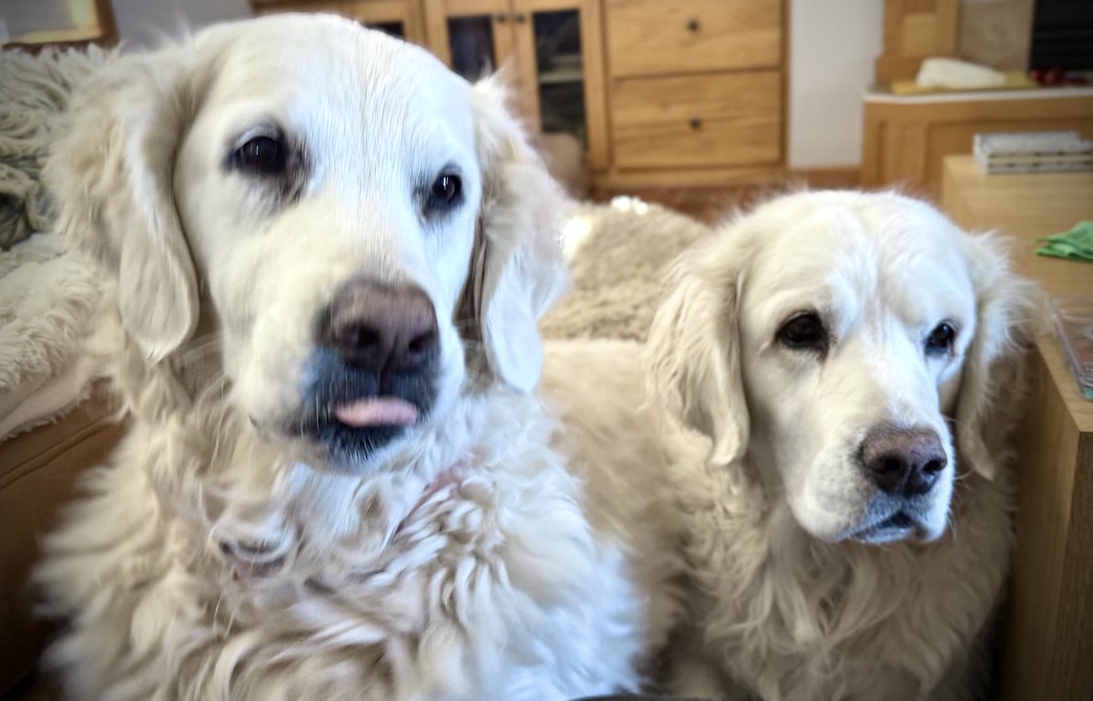 Good morning NorthernTails Nation!  Have a great day!