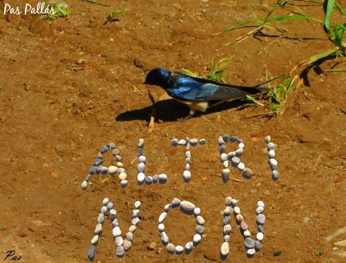 Seguimos e insistimos!! 💪