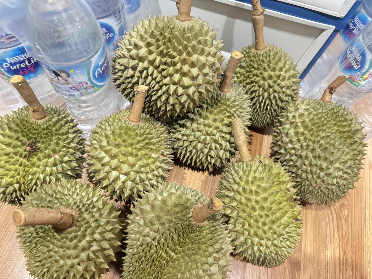 ❥❥ ༺ 𝓣𝓲𝓴𝓴𝔂⋆.˚🦋༘⋆𝓐𝓻𝓲𝓻𝓪𝓷𝓰 ˚˖𓍢ִ໋❀ ⋆. tweet media