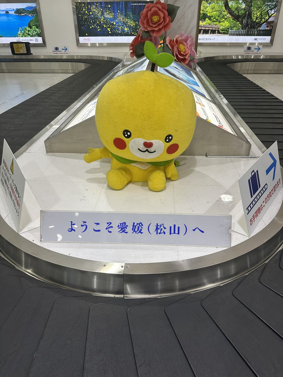 kamixkami's tweet photo. https://t.co/WldDhZlrho