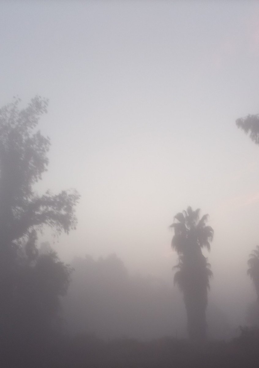 No se ve nada pero nada
A cuidarse de la niebla