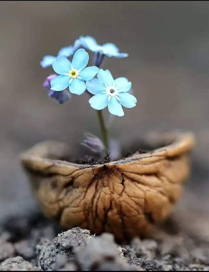 Dünyada kalıcı değilsin ki; 
Kalp kırmaya değsin. 

Bir nefeslik canın var, 
Onu da vereceksin...

#Güne_Huzurla