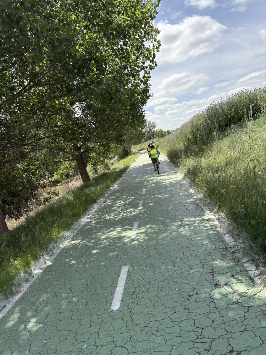 Kings Lander Primary Academy tweet media