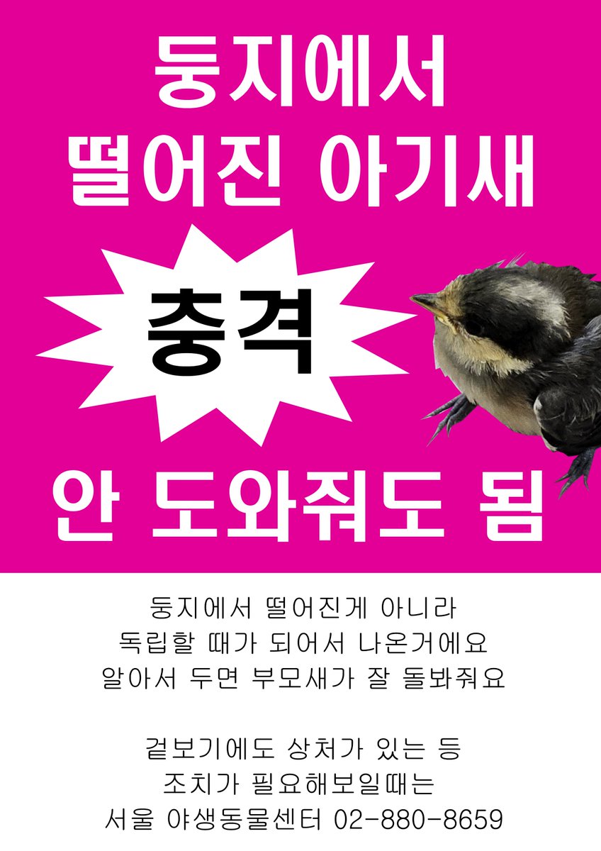 트친 여러분들은 이거 보고 아기새 납치하지 마시기를