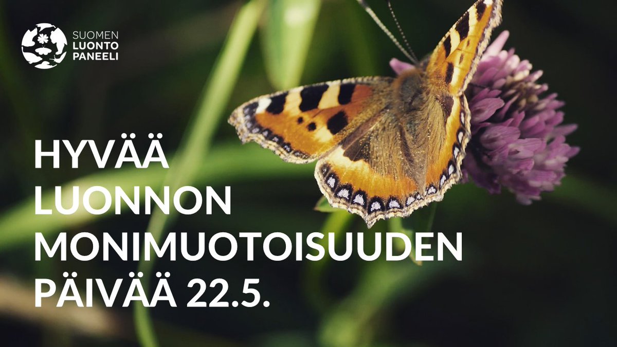 Luontopaneeli tweet media