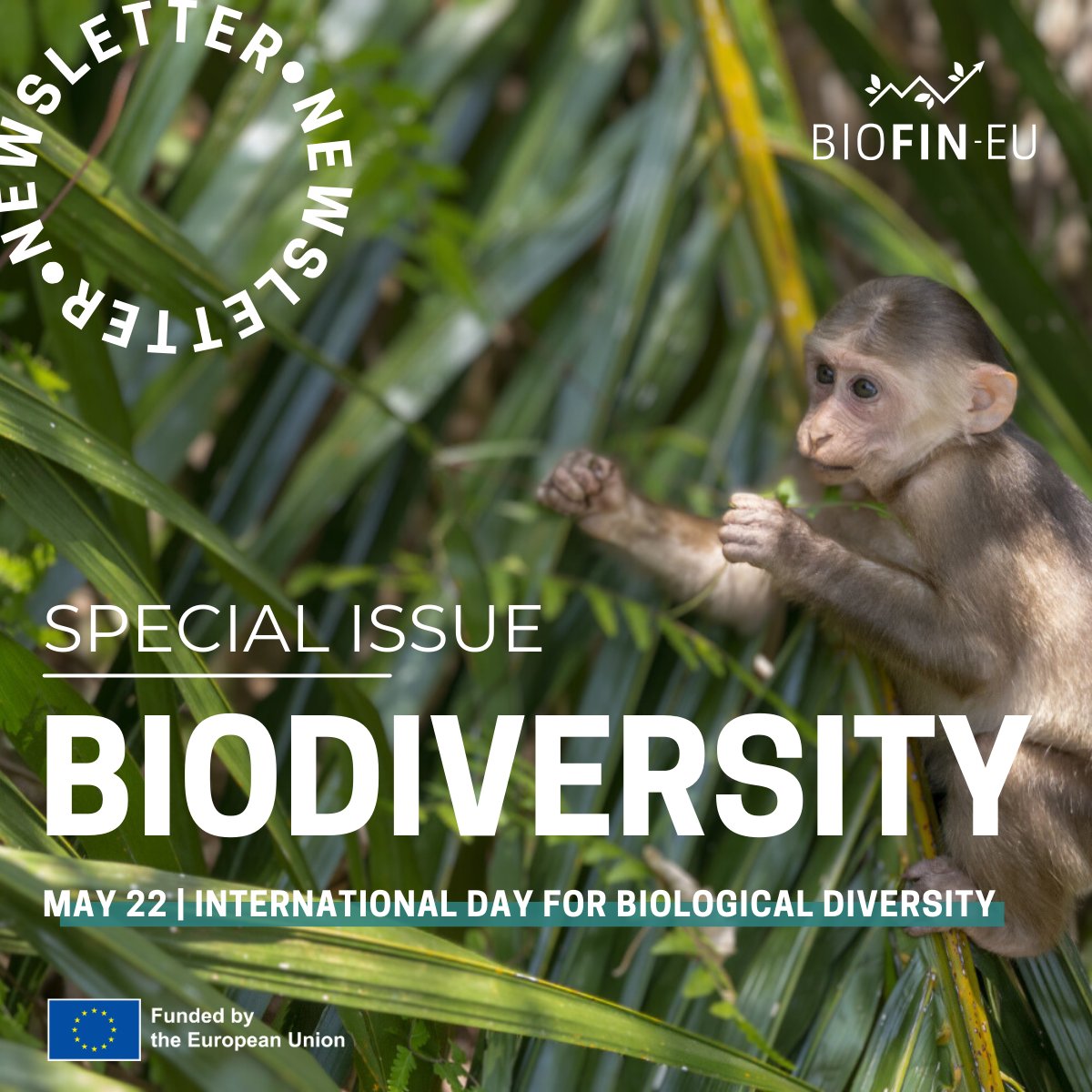 Just dropped! A special issue for #BiodiversityDay🌱

Dive into:
-#Biodiversity &amp; the SDGs
-Global biodiversity hotspots
-#Nature in our economies

📰Read now: mailchi.mp/569634bb4b17/w…

<a href="/HorizonEU/">Horizon Europe 🇪🇺</a> <a href="/REA_research/">European Research Executive Agency</a> <a href="/EUgreenresearch/">EU green research</a>