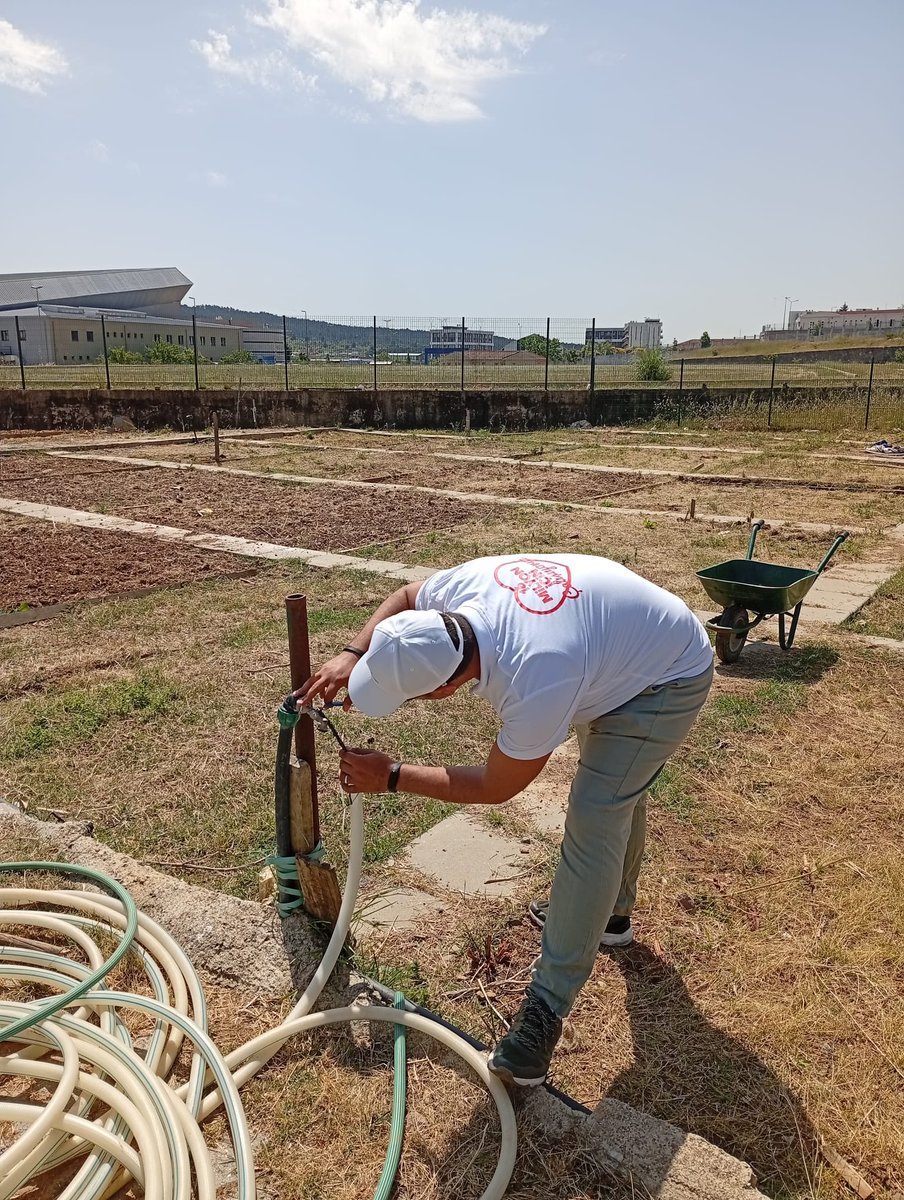 tarim_ibb's tweet photo. Pendik ve Kartal Kent Bostanlarımızda yeni sezona hazırlıyoruz.
Bostanlarımız;
✅Temizlendi
✅Toprağı havalandırıldı
✅Sulama sistemleri kontrol edildi
Şimdi sıra yeni hak sahiplerinde!
Toprağa dokunmak, üretmek ve paylaşmak için hazırız! https://t.co/lEclcKCDQp