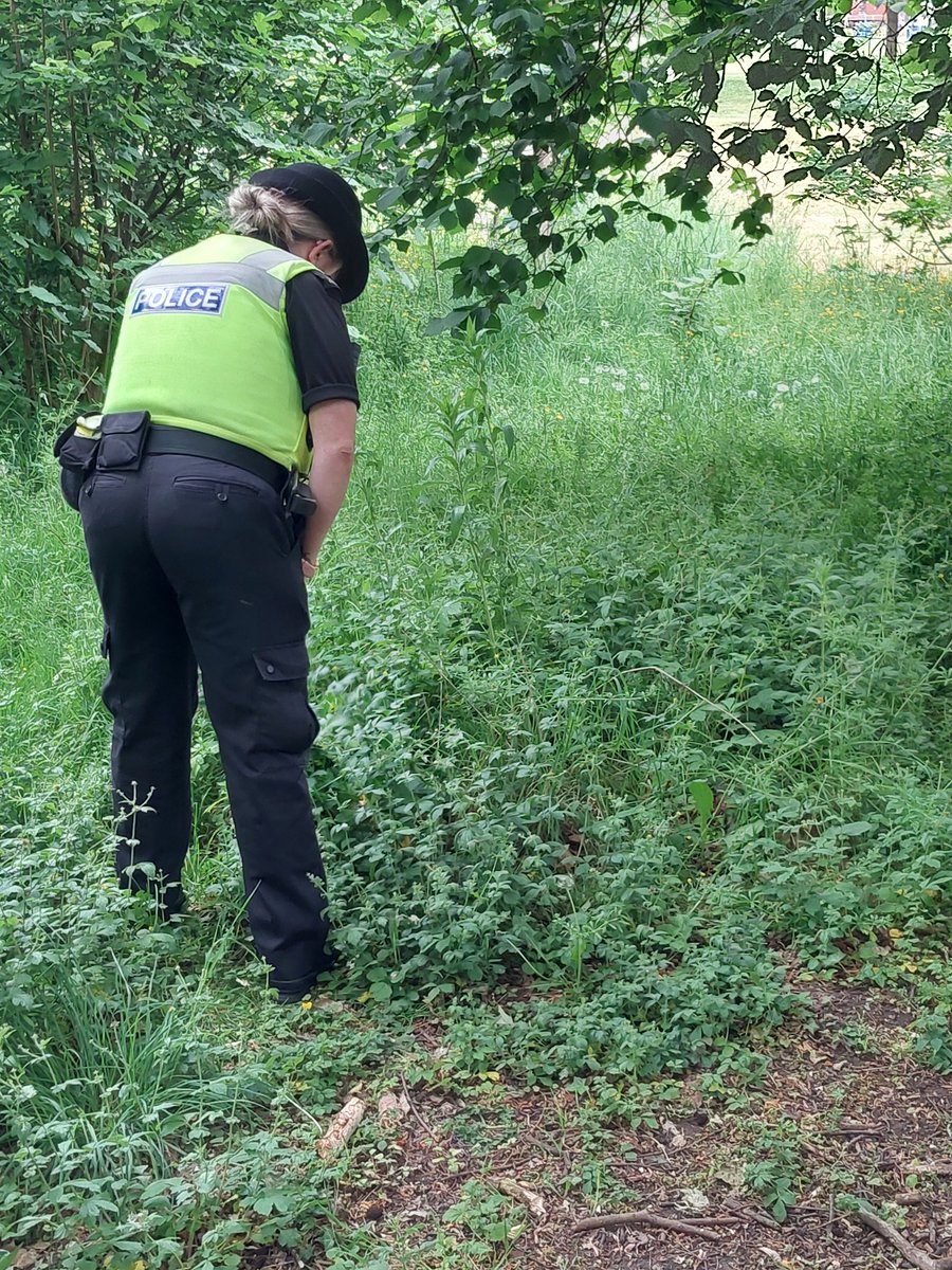 SpringfieldWMP's tweet image. #Sparkhill #OpSceptre 👮‍♀️👮🏿‍♂️Neighbourhood officers have carried out a weapon sweep around Sparkhill Park to bump into a wanted person. #NoWeapons #Community