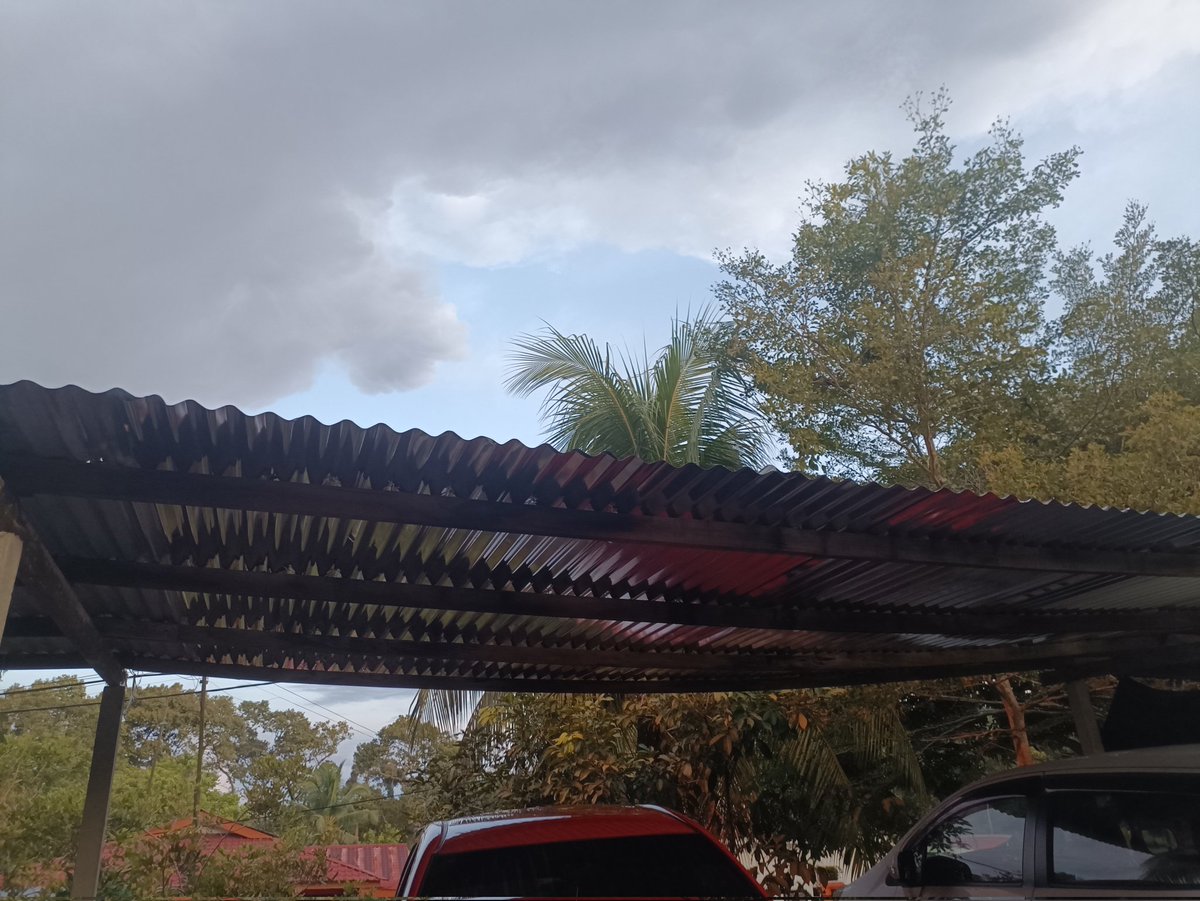 eirene 🍓🦋 #KISA tweet media