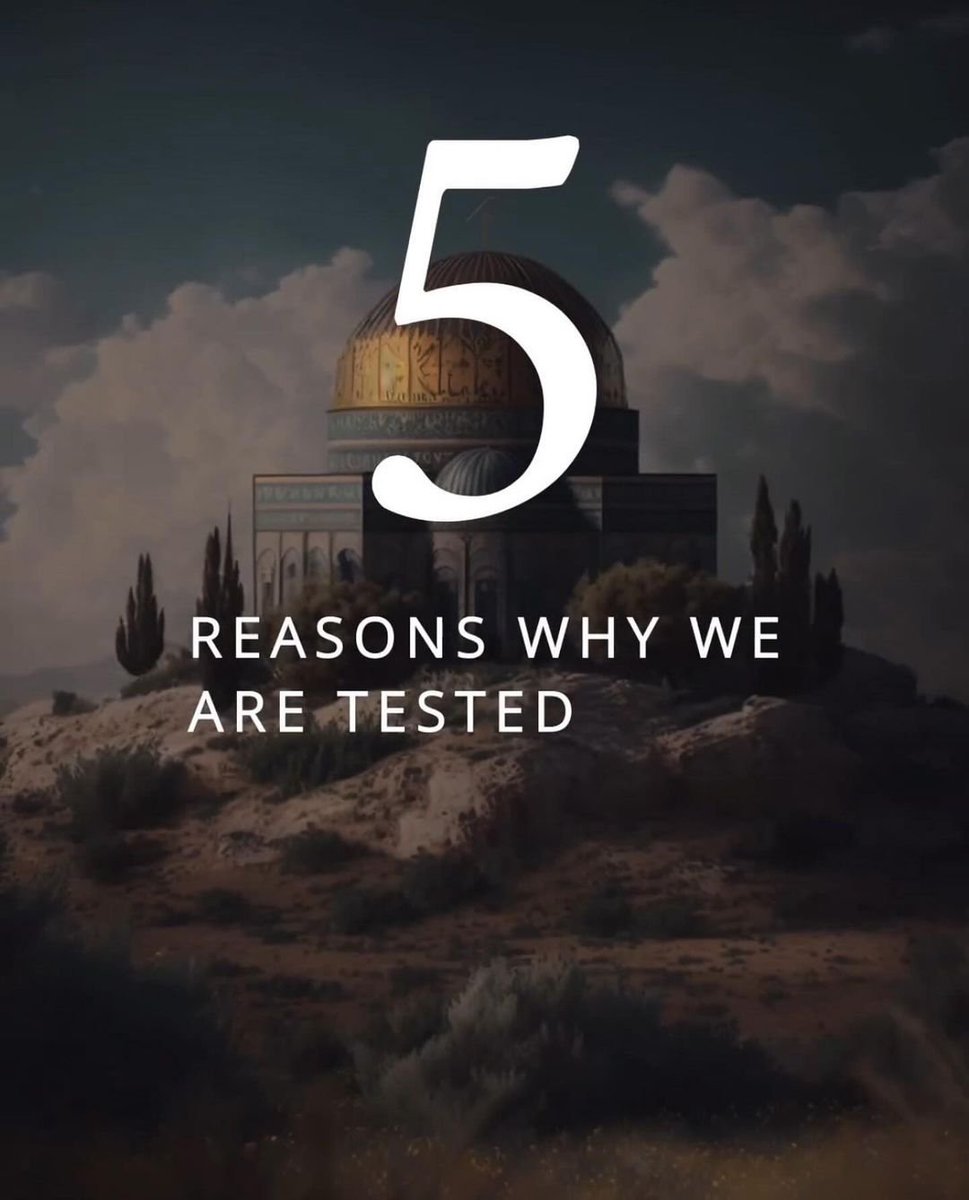 7signxx's tweet photo. Five Reasons Why We Are Tested...

THREAD https://t.co/u9uRGtwXEX