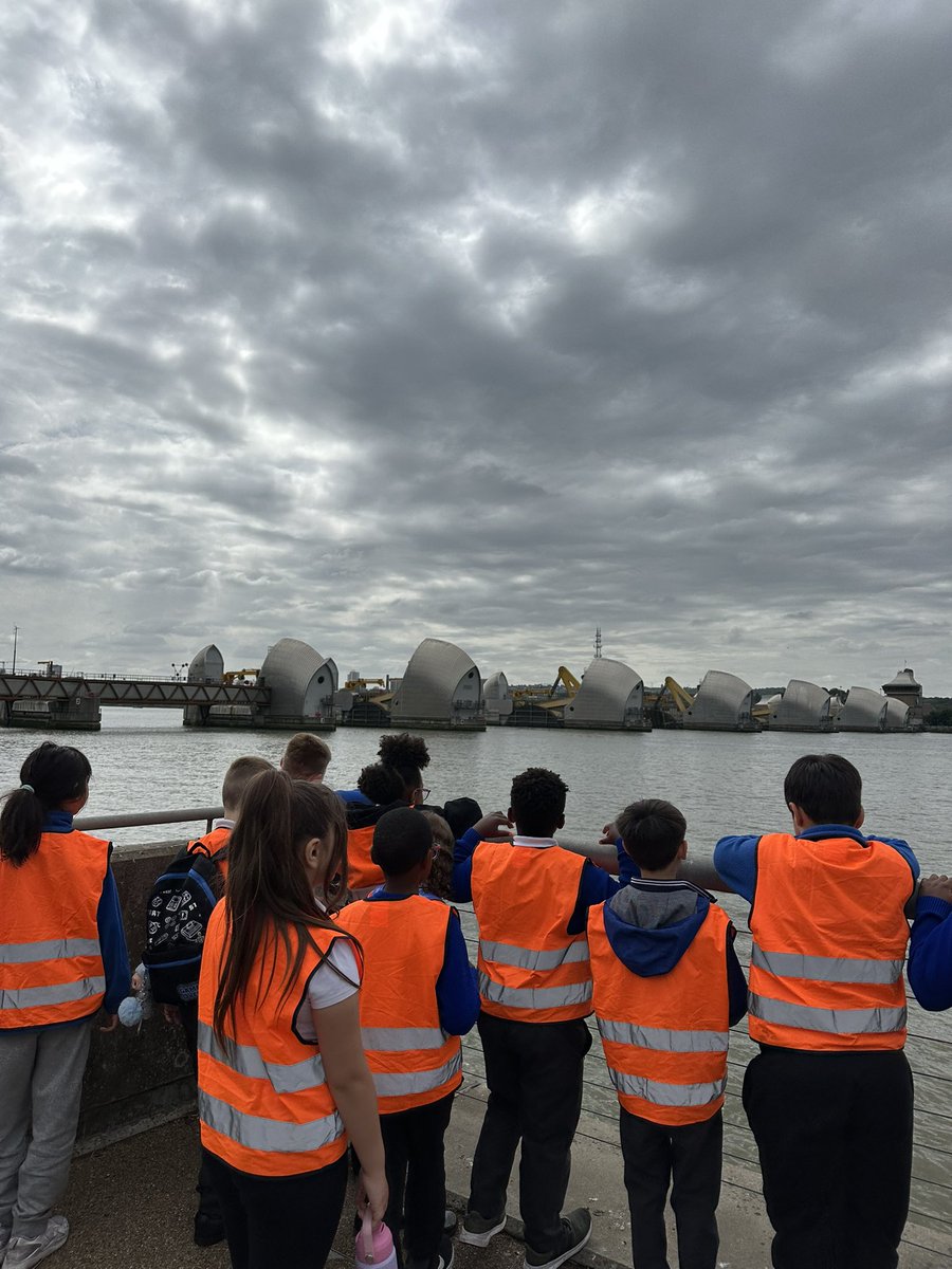 Foxfield - Year 3 tweet media