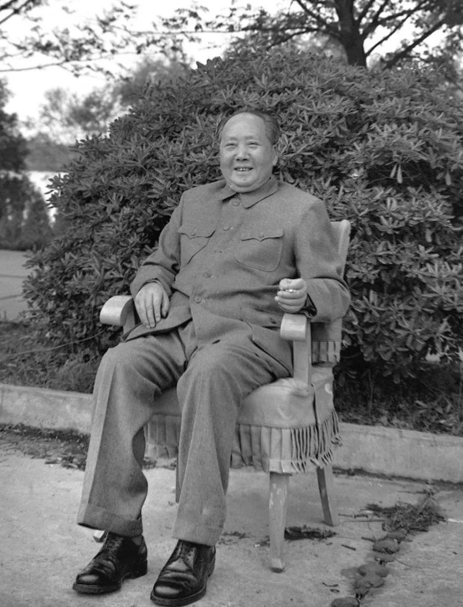 李婧🇨🇳 tweet media