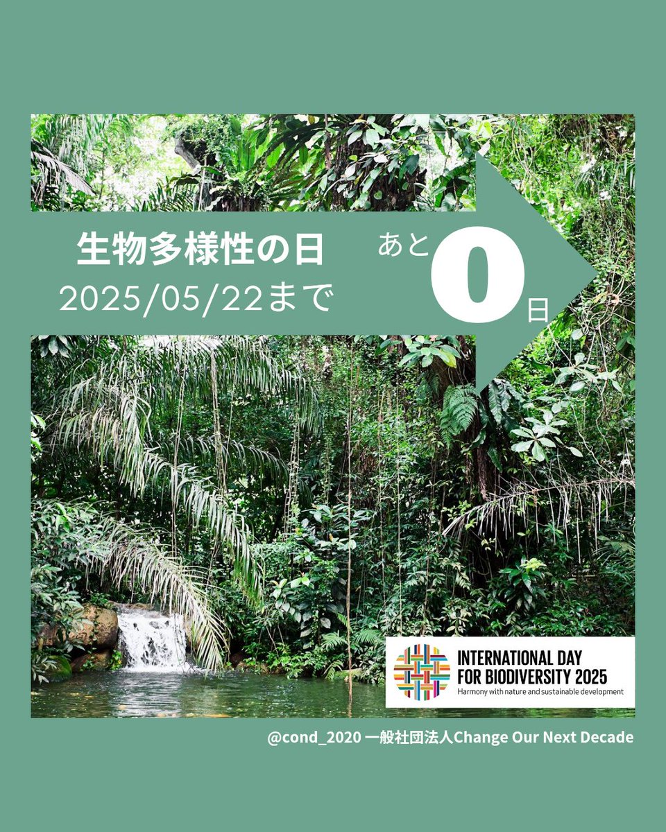COND_2020's tweet photo. 本日、5月22日は【#生物多様性の日】！！

#生物多様性 は、地球上の生命にとって不可欠です。水や食べ物、空気など、私たちの#日常 を支えています。

なぜ5月22日が生物多様性の日なの？
☞#生物多様性条約 が採択された日に由来します。 https://t.co/Fh26UFXBPd