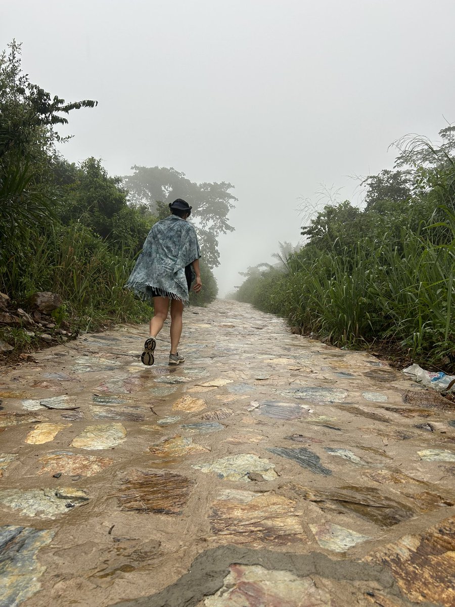 Tavonga T. Munodawafa tweet media