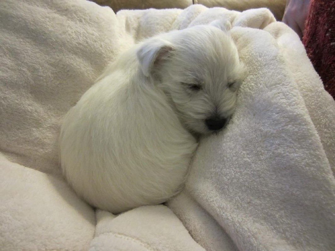 인생 잠깐
Stop
할 때 됏다