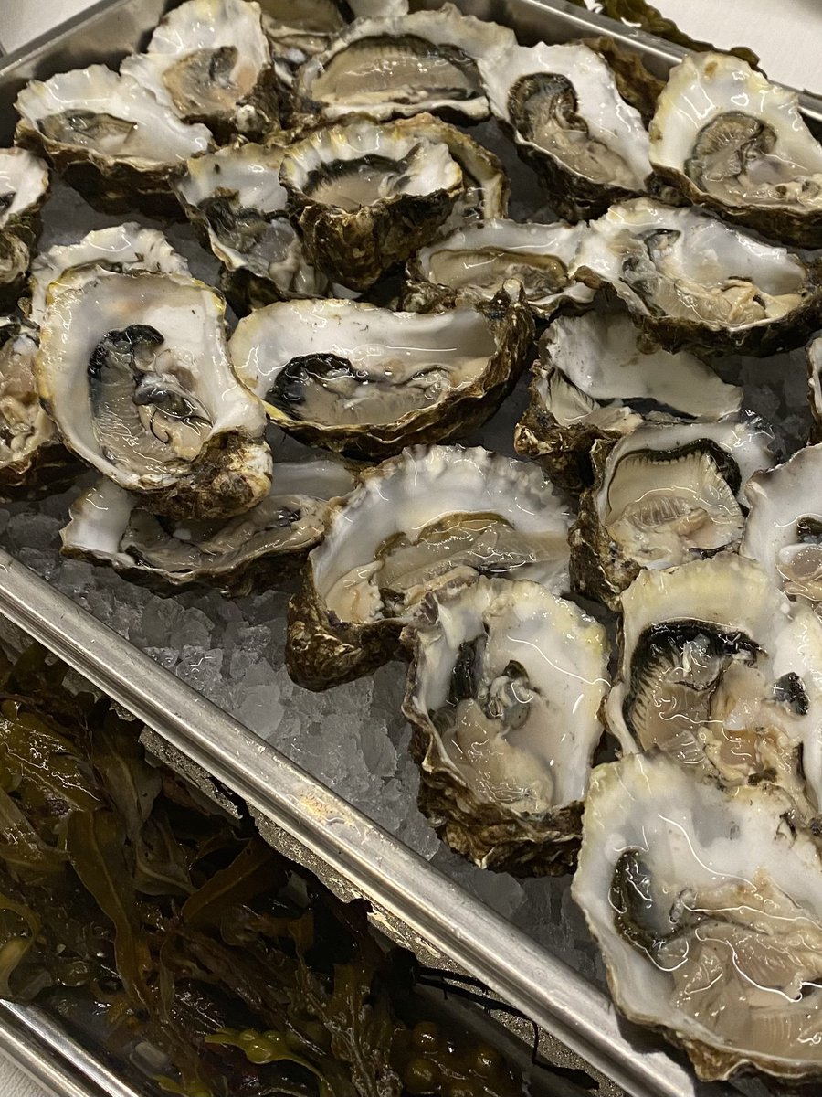 GoodFoodIreland's tweet photo. This week, we brought the true #tasteofireland to #Milan with an exclusive Showcase Dinner, in collaboration with @TurismoIrlanda &amp; @Irelandwest.

From #oysters to #sodabread, we spotlighted our Collection &amp; launched our new Experience Platform.
👉 https://t.co/EYgxilGWZt https://t.co/9GZels7Ri7