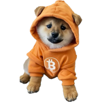 Photo by CryptoStath 🟧 ᛤ$DOG (@CryptoStath)
