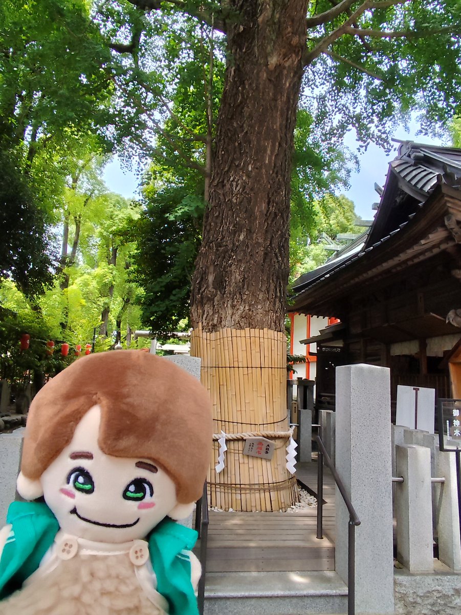 gurahamu30's tweet image. 今日は仕事前に当選祈願とお礼参りに⛩️🍮🐧
なにわ男子ライブツアー当選しますように🙇🏻‍♀️
ファンミ2次当選しますように🙇🏻‍♀️