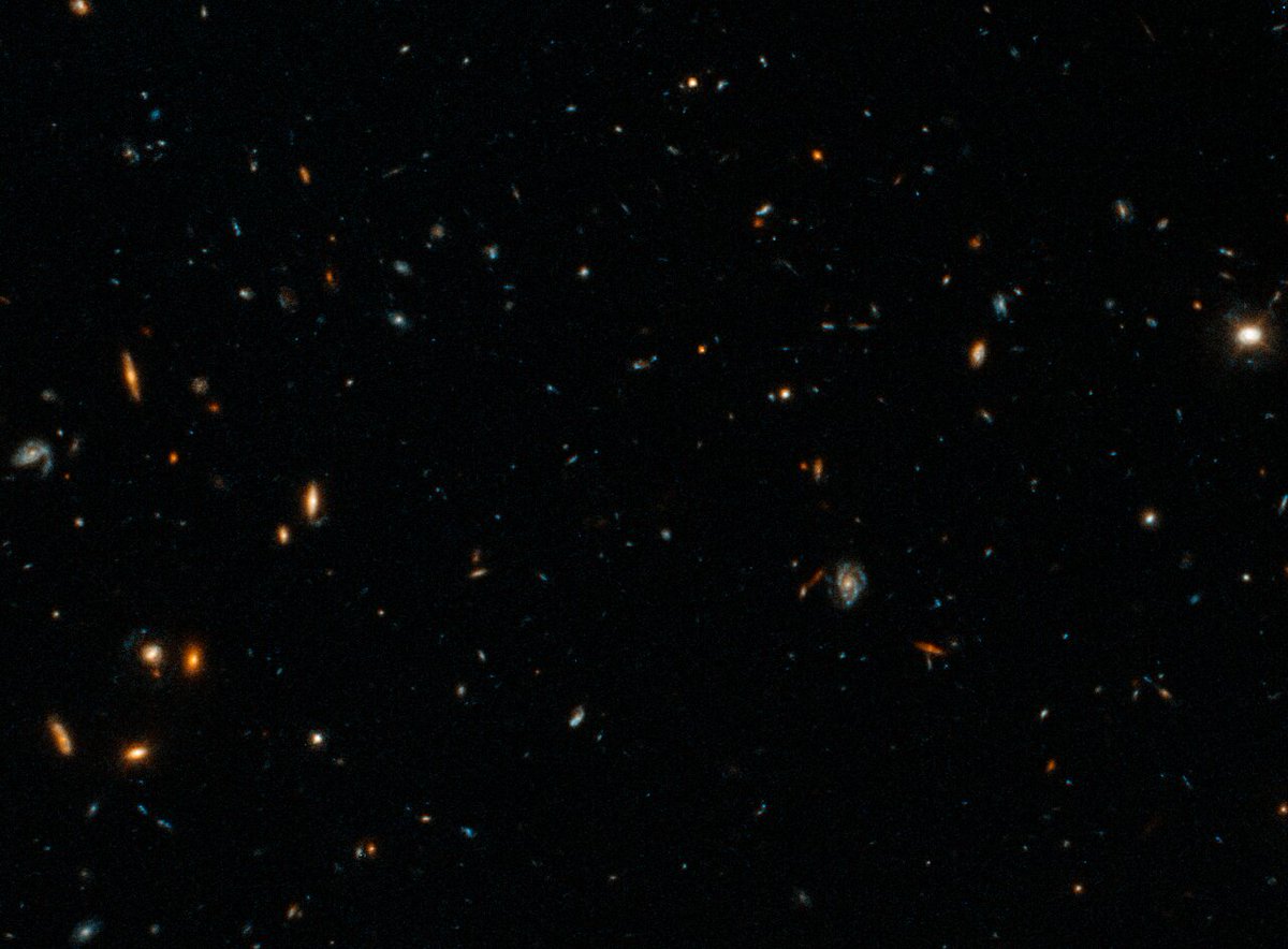 HUBBLE_space's tweet image. Our #HubbleTopImage features the home of the farthest fast radio burst (FRB)!

A FRB is a blast of energy that can, for a few milliseconds, outshine an entire galaxy. Hundreds have been detected – but their sources remain uncertain. 1/3