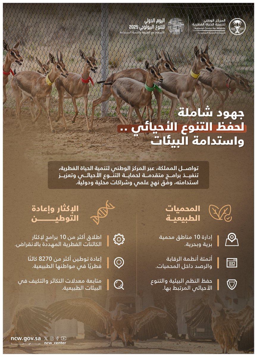 برامج متكاملة لحماية التنوع الأحيائي، ينفذها المركز وفق نهج علمي وشراكات محلية ودولية.

#اليوم_العالمي_للتنوع_الأحيائي
#بحياتها_نحيا