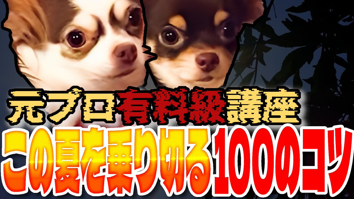 mamyo_n's tweet photo. https://t.co/dYfkhwgGBr