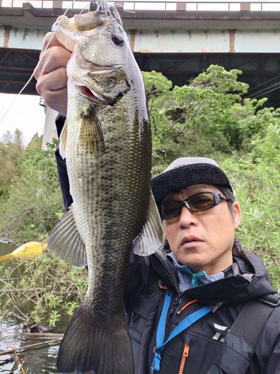 三島ダム　5月17日　その1
今日も意地の「アンチ・サイト」「アンチ・フィネス」！
数的に今年一番の大漁。
ゆーて4本だけですがw
本日1本目の40アップ。ってかジャスト。
1/2ozラバジ＋ブルフラット。
小生的鉄板。