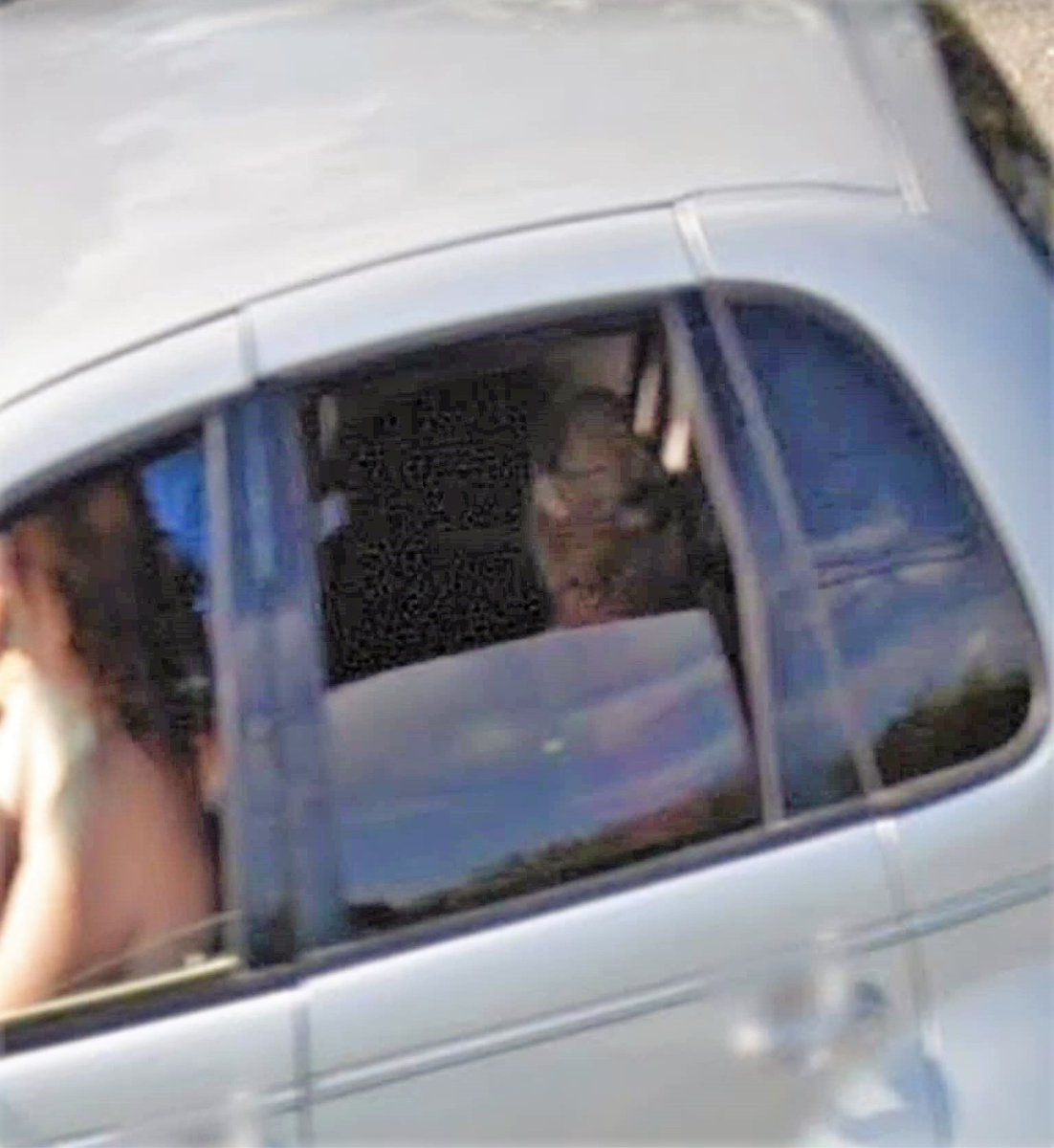 maniaUFO's tweet image. Grey Alien caught via Google Maps in the back seat of a car in Appleton, Maine🧐
This Being belongs to the race of grey aliens and was caught by surprise by the google maps camera👽👽