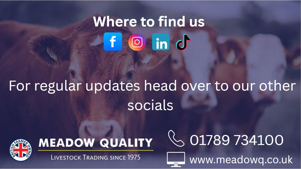 Meadow Quality Ltd tweet media