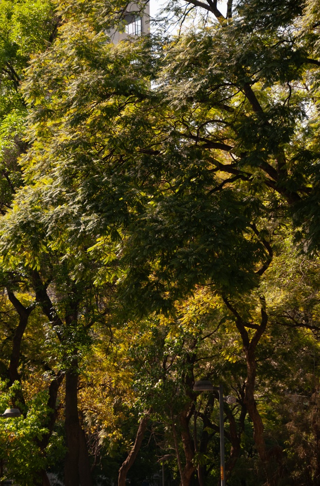 made some bags and went travelling with them