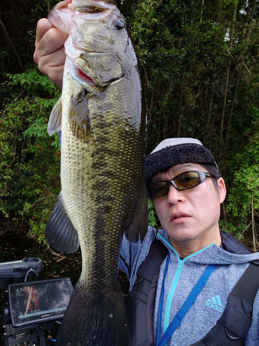 三島ダム　5月17日　その2
本日2本目の40アップにして最大の44cm。
税込み286円で大人買いしたフラットバックジグ3/4oz＋ジャンボポークフロッグにて。
普通の人が使わない重さ故のワゴンセールなのでしょうが、攻めてる感のないフワフワした釣りが大キライな小生からするとありがたい限りw