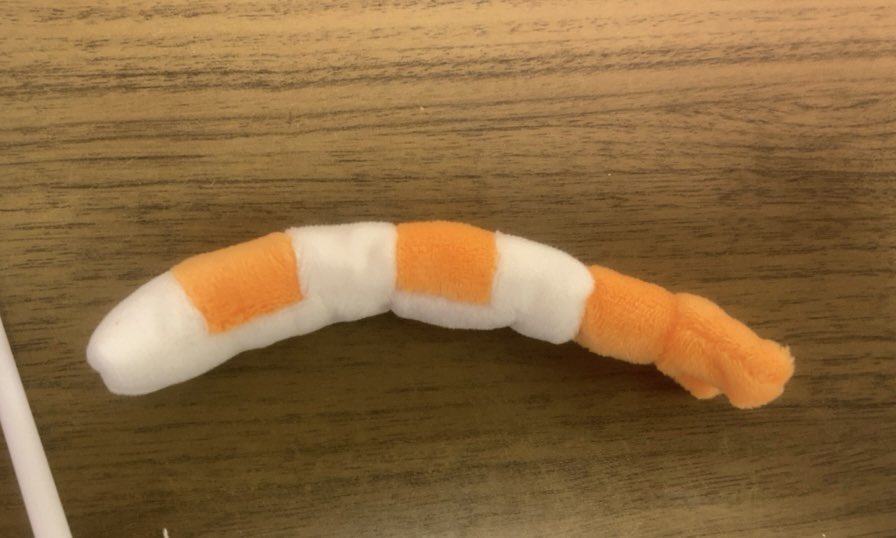 むきエビの制作工程です🍤
1枚目から2枚目の間をもう少し写真撮ればよかった…😂🍣