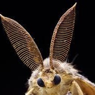 Møthlíñg tweet media