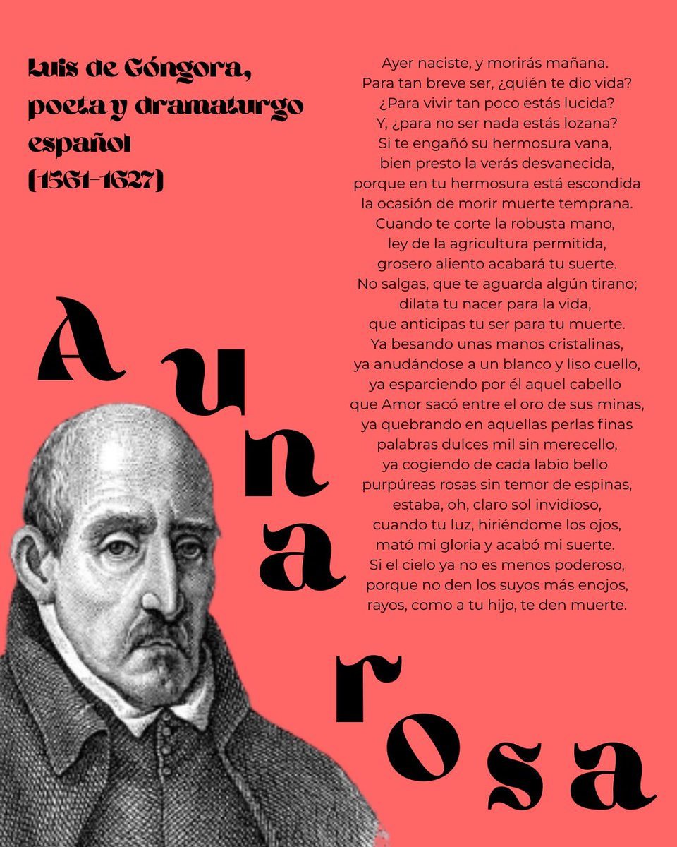 #UnDiaComoHoy, 23-5-1627, falleció el poeta y dramaturgo español #LuisdeGóngora. 
Para rememorarlo traemos este #poema en el que, mediante la metáfora de una rosa, identifica la juventud, invitando a disfrutarla antes de su desaparición, por su efimeridad. 
#bpsalamanca #23mayo