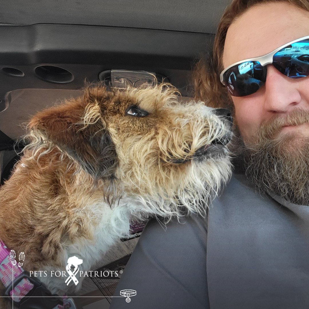 Pets for Patriots tweet media