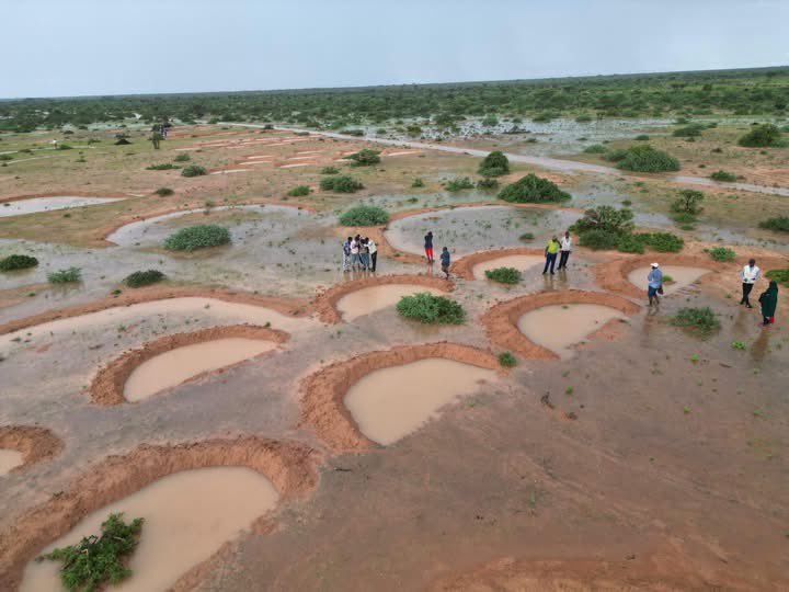 cunayee's tweet photo. Somalia 🇸🇴 fights back to tackle Reoccurring droughts , Soil erosion and restore degraded lands . 

#KAALO under the BRCiS consortium and with funds from FCDO, is transforming landscapes through Resilience Design (RD) approaches.

💧Using half-moon structures and bioswales, we are Slowing, Spreading, Sinking, and Saving rainwater to support rangeland regenerations 🌱 and restore ecosystems.

This natural water-harvesting technique; 
✅ Captures runoff
✅ Reduces erosion
✅ Enhances soil moisture
✅ Sustains crops/pasture even during dry spells

🌱 The result? Regenerated land, improved livelihoods, and stronger community resilience against climate shocks.

BRCiS | Kaalo Aid and Development good work 🇸🇴. 

@MoEWrMSSCkhtmo @MoECC_Somalia @UNEP_Africa @FCDOGovUK