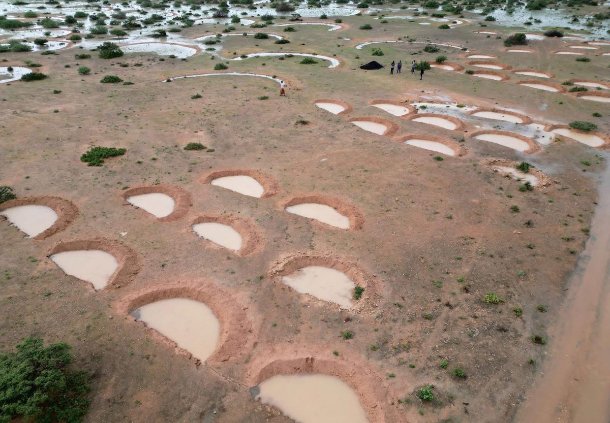 cunayee's tweet photo. Somalia 🇸🇴 fights back to tackle Reoccurring droughts , Soil erosion and restore degraded lands . 

#KAALO under the BRCiS consortium and with funds from FCDO, is transforming landscapes through Resilience Design (RD) approaches.

💧Using half-moon structures and bioswales, we are Slowing, Spreading, Sinking, and Saving rainwater to support rangeland regenerations 🌱 and restore ecosystems.

This natural water-harvesting technique; 
✅ Captures runoff
✅ Reduces erosion
✅ Enhances soil moisture
✅ Sustains crops/pasture even during dry spells

🌱 The result? Regenerated land, improved livelihoods, and stronger community resilience against climate shocks.

BRCiS | Kaalo Aid and Development good work 🇸🇴. 

@MoEWrMSSCkhtmo @MoECC_Somalia @UNEP_Africa @FCDOGovUK