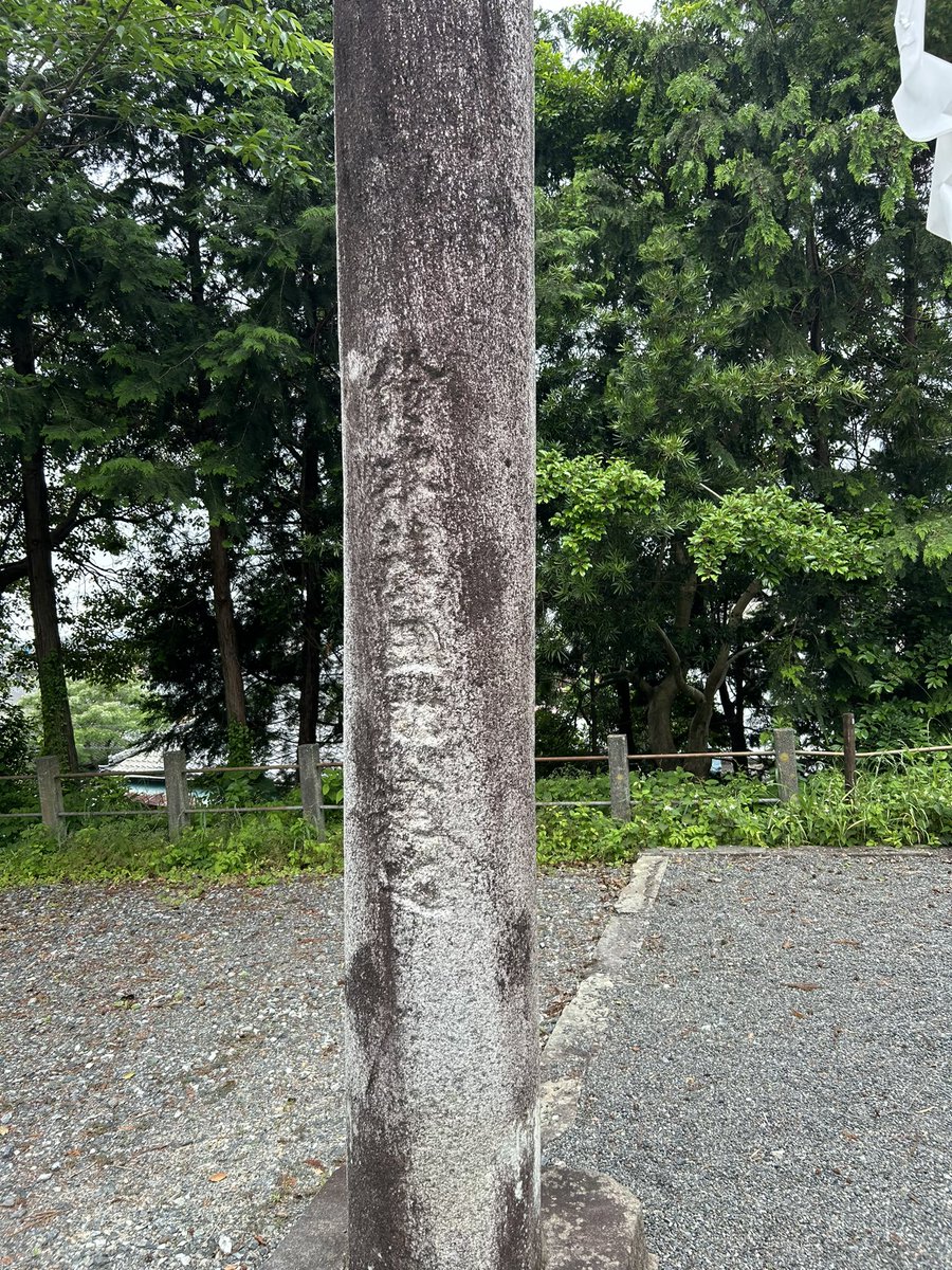 seguyuzi tweet media